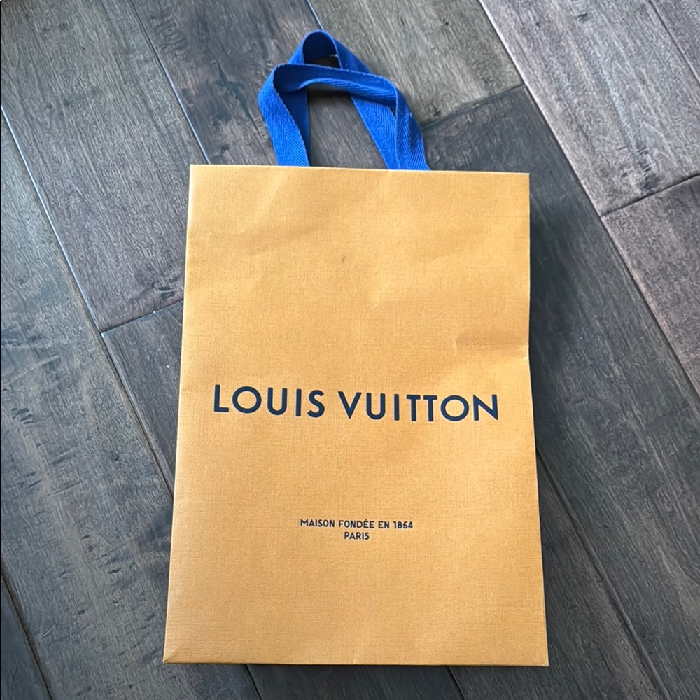 Louis Vuitton medium shopping bag